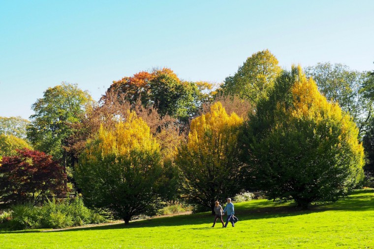 ヴェストファーレンパークは芝地だけで60ヘクタール！ 広大な園内の散歩ルートは無限大　Photo: Aki SCHULTE-KARASAWA